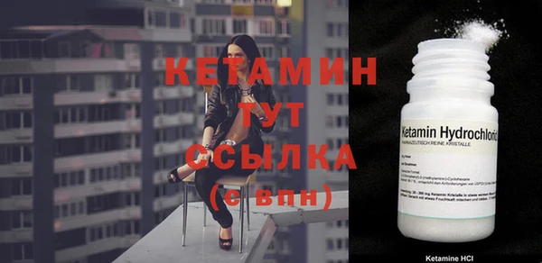 твердый Арсеньев