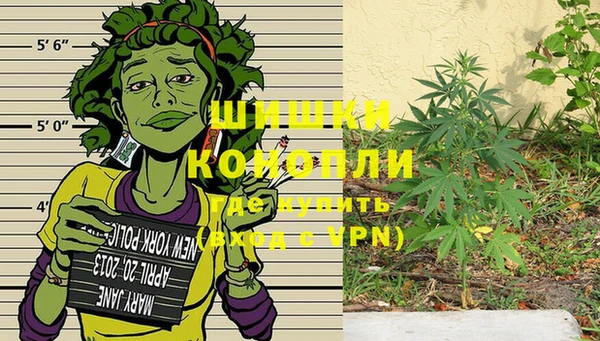 a pvp Аркадак