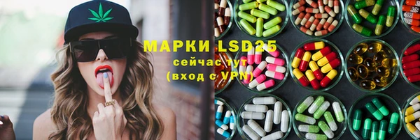 твердый Арсеньев