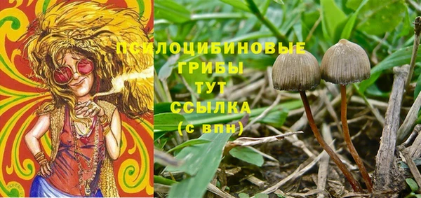 спиды Армянск