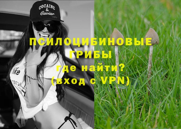 a pvp Аркадак